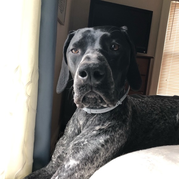 Profile Picture of Tyler Dehmer (@tylerdehmer) on Poshmark