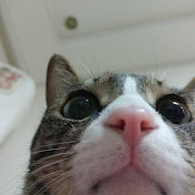 Profile Picture of Chad Kim (@chadkim3826) on Youtube