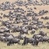Profile Picture of Eric Joseph (@Tanzania Photo Safari) on Flickr