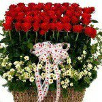 Joseph Tacheranie - Instagram Profile Picture of Joseph Tacheranie (@josephtacheranie) on Instagram