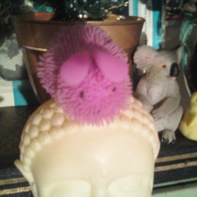 Profile Picture of John Robert Edison (@JohnRobertEdis1) on Twitter