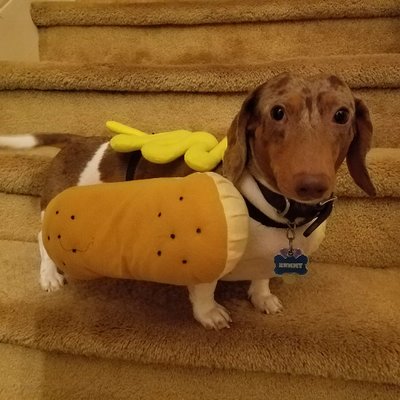 Profile Picture of Adam Kress (@AdamGKress) on Twitter