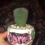 Profile Picture of Big Boi Darrel (@big_boi_darrel) on Instagram