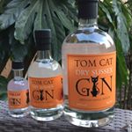 Profile Picture of Kate and Paul Wratten (@tomcatgin) on Instagram