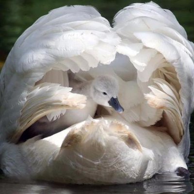 Profile Picture of Edward Blum (@eddiebumm) on Twitter