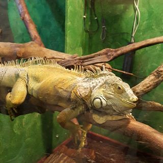 Profile Picture of Lee D Robertshaw (@kirsty.jones.5458498) on Facebook