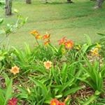 Profile Picture of Mark Rittenhouse (@marknbeza) on Instagram