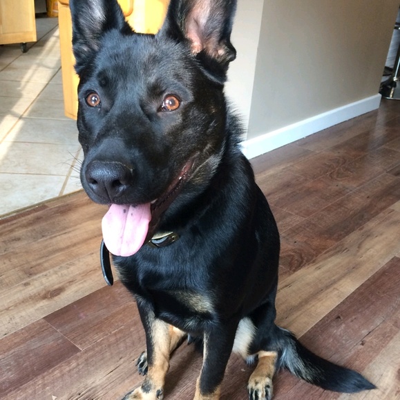 Mariah Samonek - Poshmark Profile Picture of Mariah Samonek (@mariah_samonek) on Poshmark