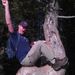 Profile Picture of Nicholas Geraci (@vectorborne5) on Pinterest