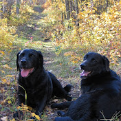 Profile Picture of Nancy Walters (@tagishgirl) on Youtube