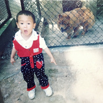 Profile Picture of Wang Weijia (@birkhom) on Flickr