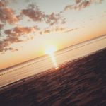 Profile Picture of Daniel Hochapfel Wilkes (@danielhochapfelwilkes) on Instagram