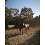 Profile Picture of Ricardo Chapman (@ricardochapman_f) on Instagram