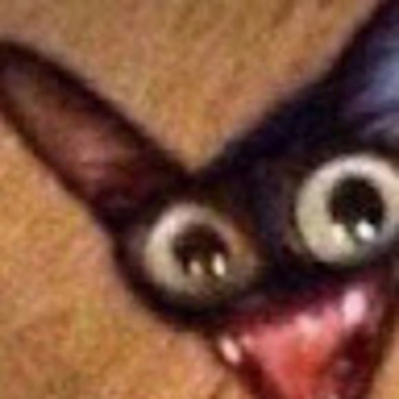 Profile Picture of Marin Backer (@marinbacker) on Poshmark