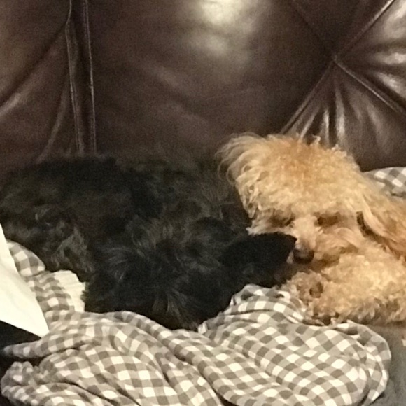 Profile Picture of Alan Boyd (@alanboyd) on Poshmark