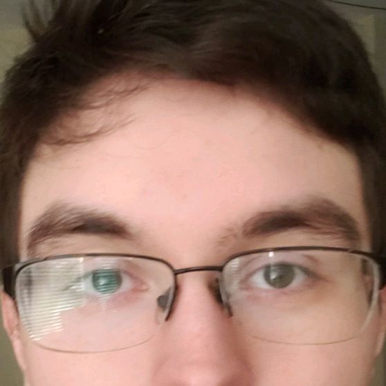 Profile Picture of Justin Mauer (@gracefulbadger) on Tiktok