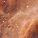 Profile Picture of Alston Adam (@Alston-Adam) on Facebook