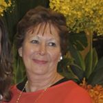 Chris Bradbury - Instagram Profile Picture of Chris Bradbury (@kitsads1) on Instagram