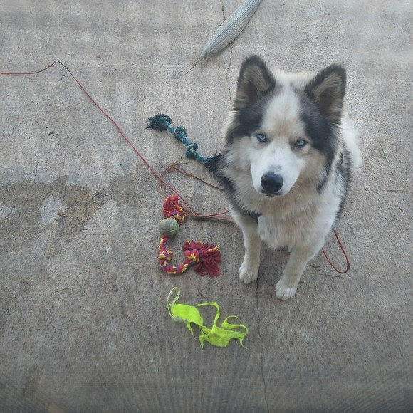 Profile Picture of Jodi Stephens (@smplyjodi) on Poshmark