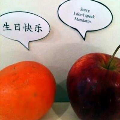 Profile Picture of Lisa (@almgren208) on Twitter