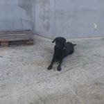 Profile Picture of Paul Regnier (@paul.regnier.3597) on Instagram