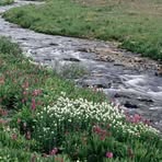 Profile Picture of Gerald McGuff (@gerald.mcguff) on Facebook