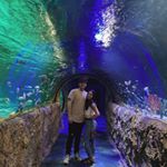 Profile Picture of Julian Sotomayor (@julian.sotomayorr) on Instagram