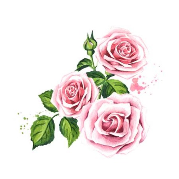 Profile Picture of Cassandra Ames (@alicesoul21) on Poshmark