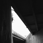 Profile Picture of Sasha Wilkinson (@alexander_wilkinson) on Flickr