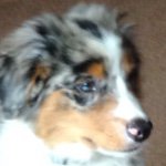 Merlin Christopher - Instagram Profile Picture of Merlin Christopher (@merlin12304) on Instagram