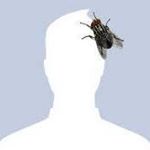 Profile Picture of Brian Orellano (@b_orellano) on Instagram