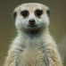 Profile Picture of Ray Sinclair (@ray.sinclair.3914) on Facebook