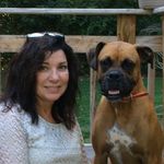 Profile Picture of Joy Clary Edwards (@boxermom4ever) on Instagram