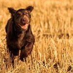 Profile Picture of Mark Hogarth (@mark.hogarth.144) on Instagram