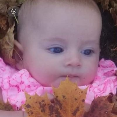 Profile Picture of Derek Gagne (@DerekGagne6) on Twitter