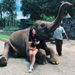 Profile Picture of K E L L Y • C H E N G (@kellyylc) on Instagram