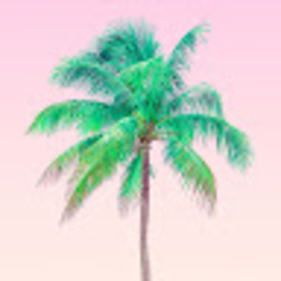 Profile Picture of Joya Cornelious (@joyalovescrafts) on Poshmark