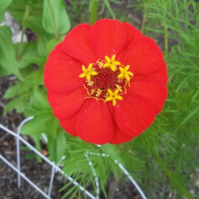 Profile Picture of Joan Thomas (@joanthomas86) on Twitter