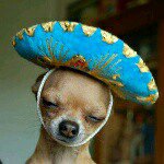 Profile Picture of Tiffany Quintero (@artisticphotographer) on Instagram