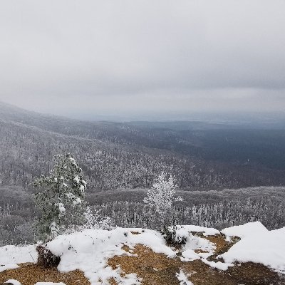 Profile Picture of Jon Toney (@jon_toney12) on Twitter