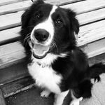 Profile Picture of Breanna Schoondermark (@breannaschoondermark) on Instagram