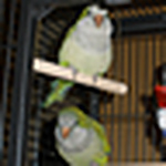 Profile Picture of Jeffrey Lopez (@jeffrey320) on Flickr