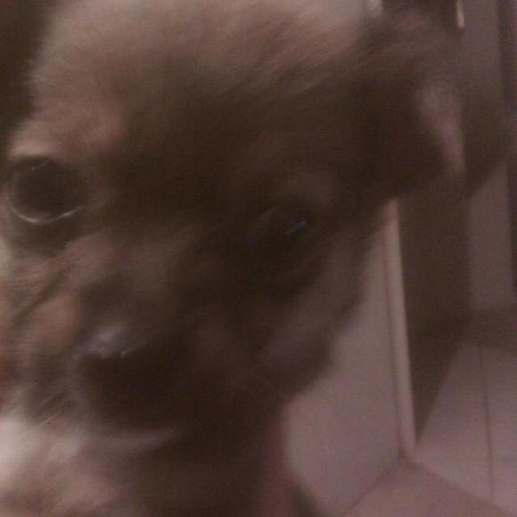 Profile Picture of Julian Rosas (@julianr89) on Poshmark