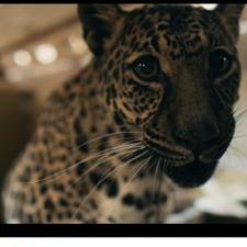 Profile Picture of Daniel Ascencio (@DanielAscencio0) on Twitter