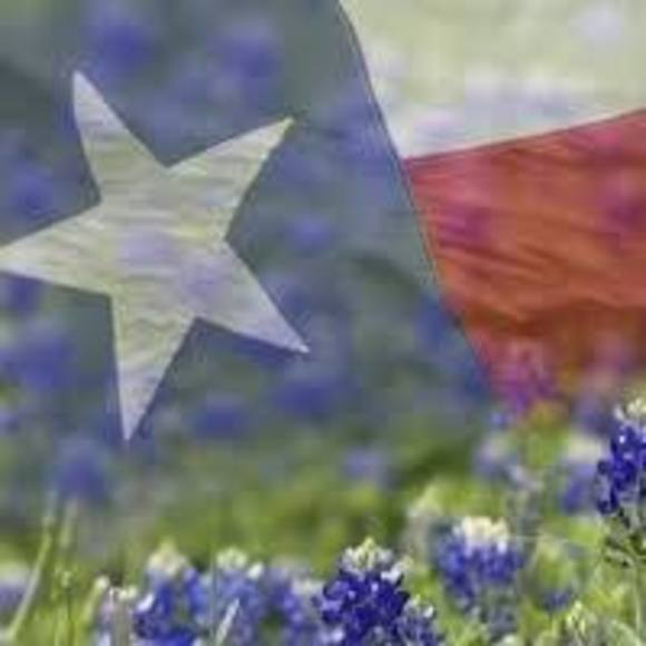 Profile Picture of Buffy Smith (@simplyiggy) on Poshmark