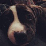 Profile Picture of Abate (@atronnahz9) on Instagram