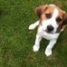 Profile Picture of Jeremy Beagle (@jeremy.beagle.988) on Facebook