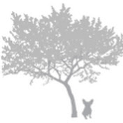 Profile Picture of Zachary Horton Foundation (@zacharyhortonfoundation) on Youtube