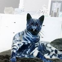 Profile Picture of Joseph Berry (@joseph-berry-24) on Quora