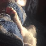 Profile Picture of Sam Wiggins (@r_6_king) on Instagram